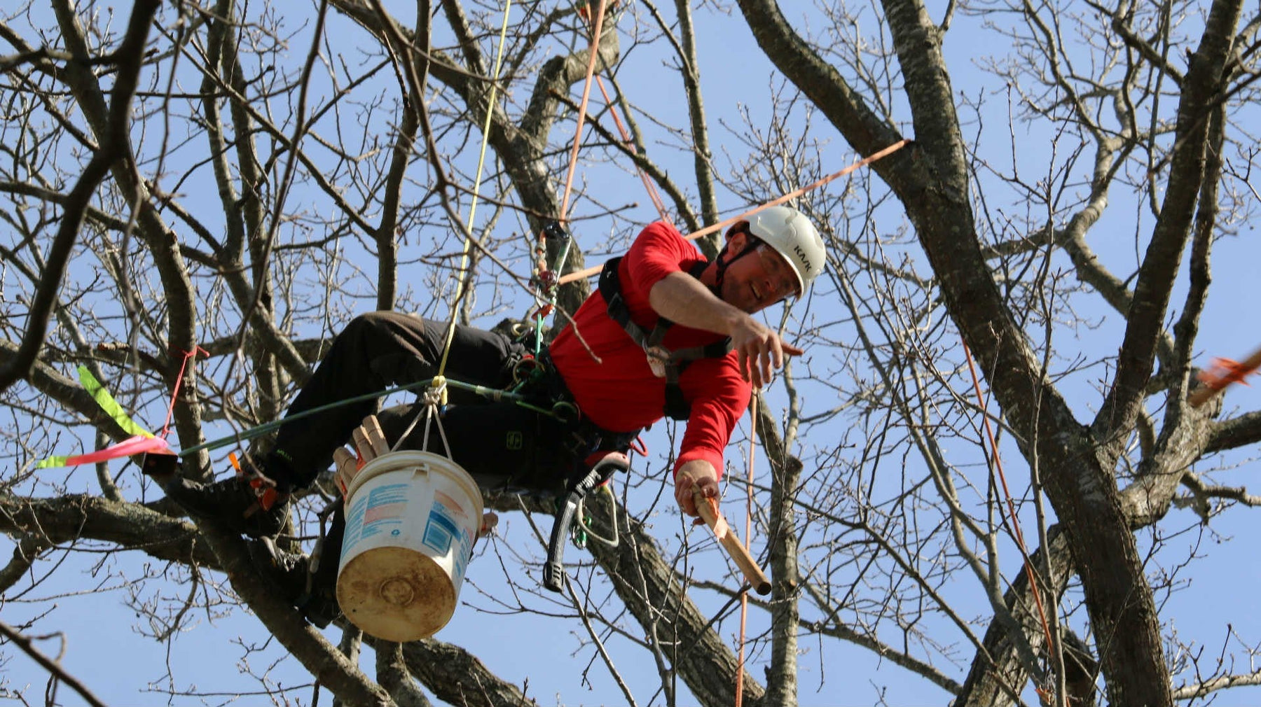 8 Equipos para iniciar en la Trepa de Arboles - Ameyalli