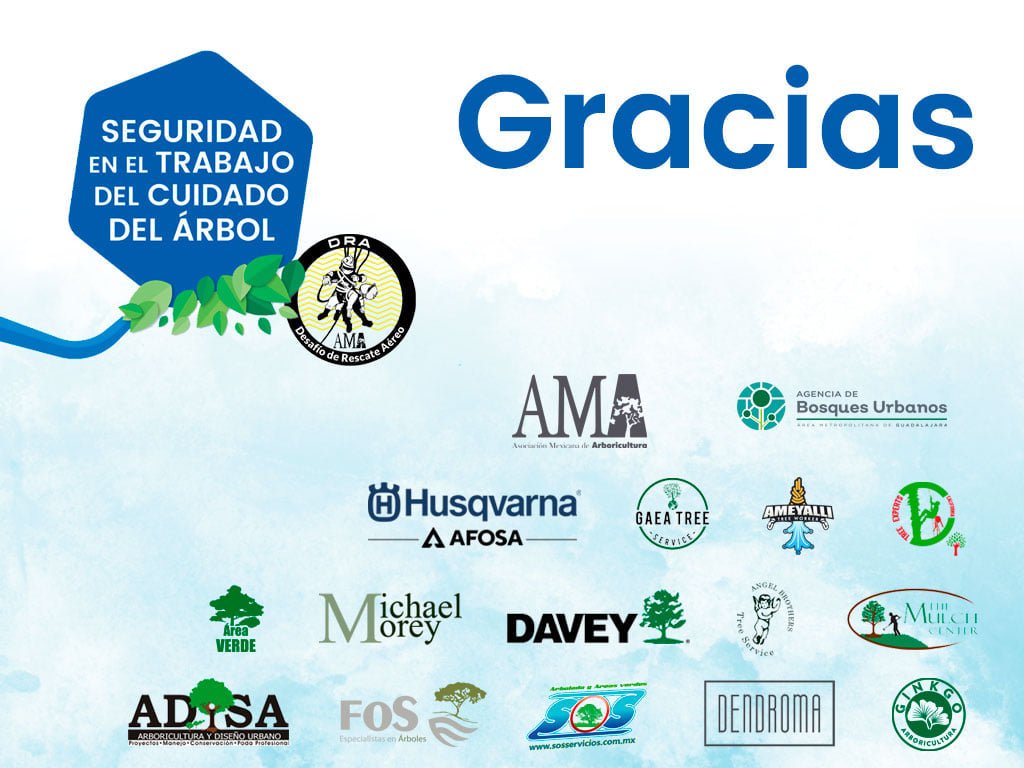 Ascender al profesionalismo: Seguridad en el trabajo del cuidado del árbol con la AMA - Ameyalli