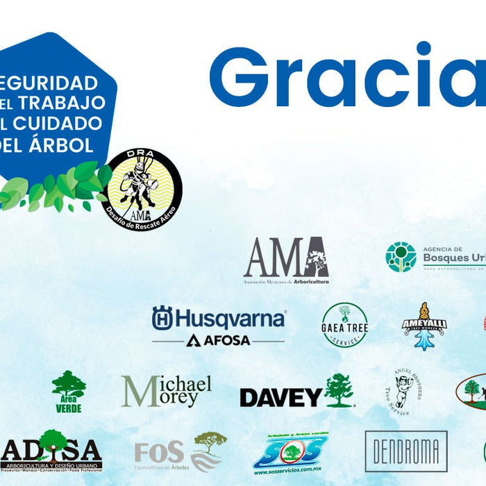 Ascender al profesionalismo: Seguridad en el trabajo del cuidado del árbol con la AMA - Ameyalli