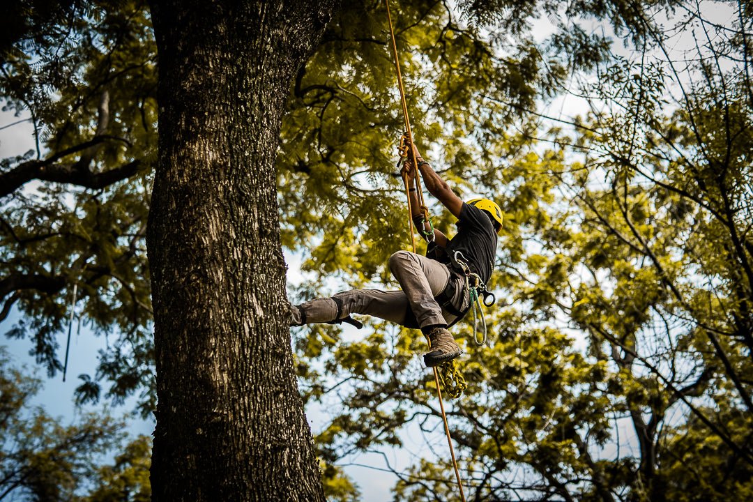 Bitácora de uso para equipamiento de seguridad - Ameyalli