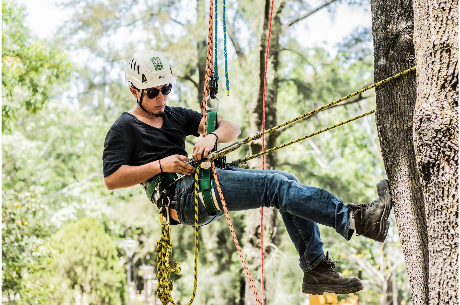 Equipamiento para Trepa y Poda de Árboles - Ameyalli