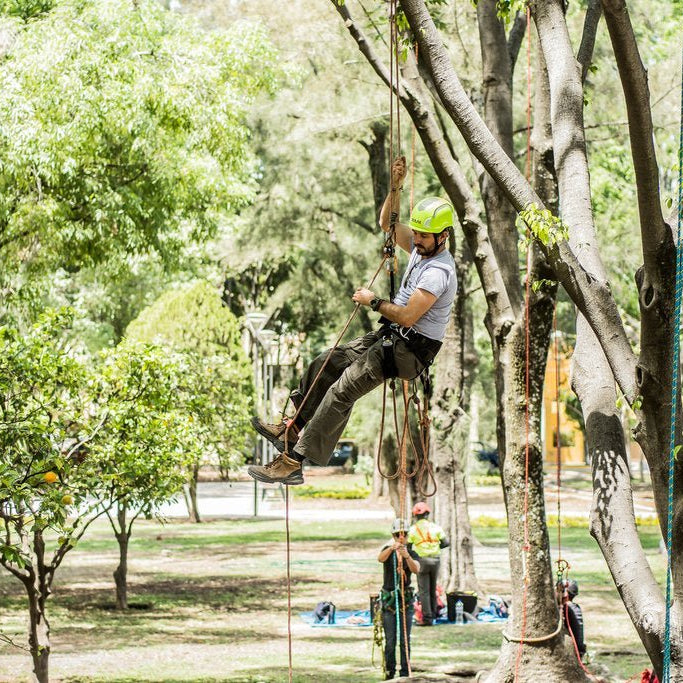 Equipo básico para trepa de arboles - Ameyalli
