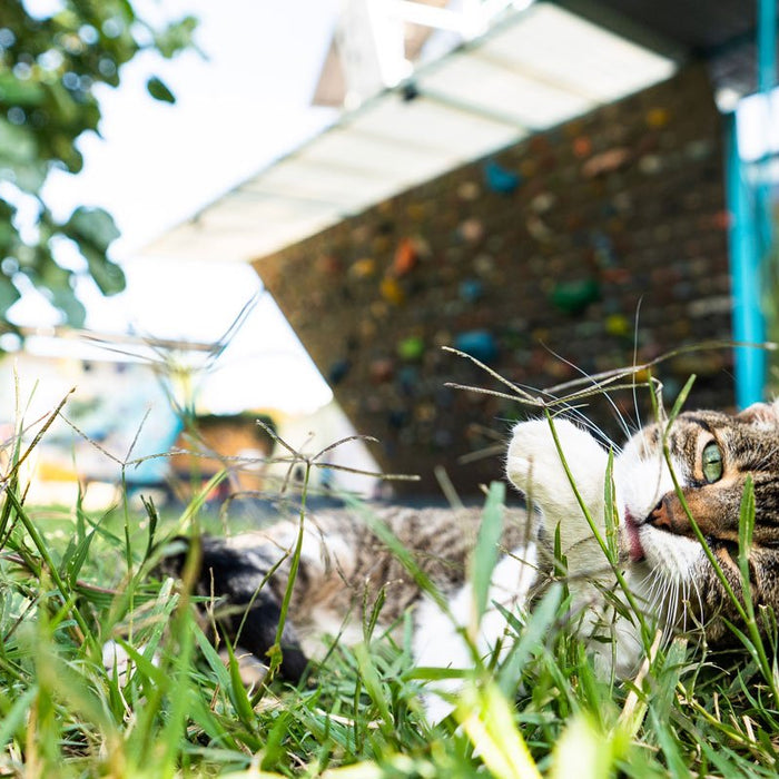 Los 7 mejores lugares para escalar en Guadalajara en 2024 - Ameyalli