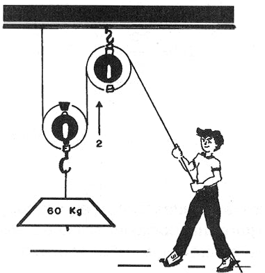 ¿Qué es un polipasto? - Ameyalli