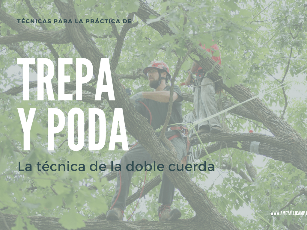 Técnica Doble Cuerda (TDC) para TREPA Y PODA - Ameyalli