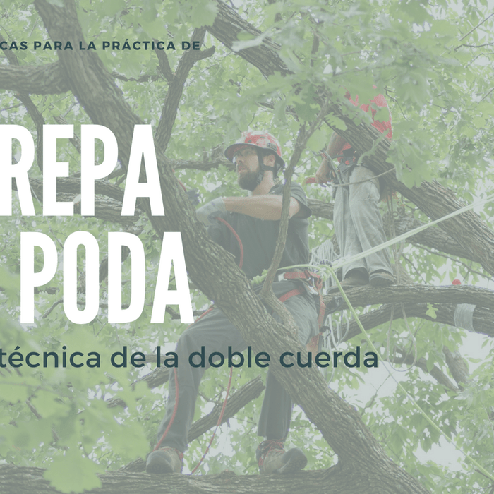 Técnica Doble Cuerda (TDC) para TREPA Y PODA - Ameyalli