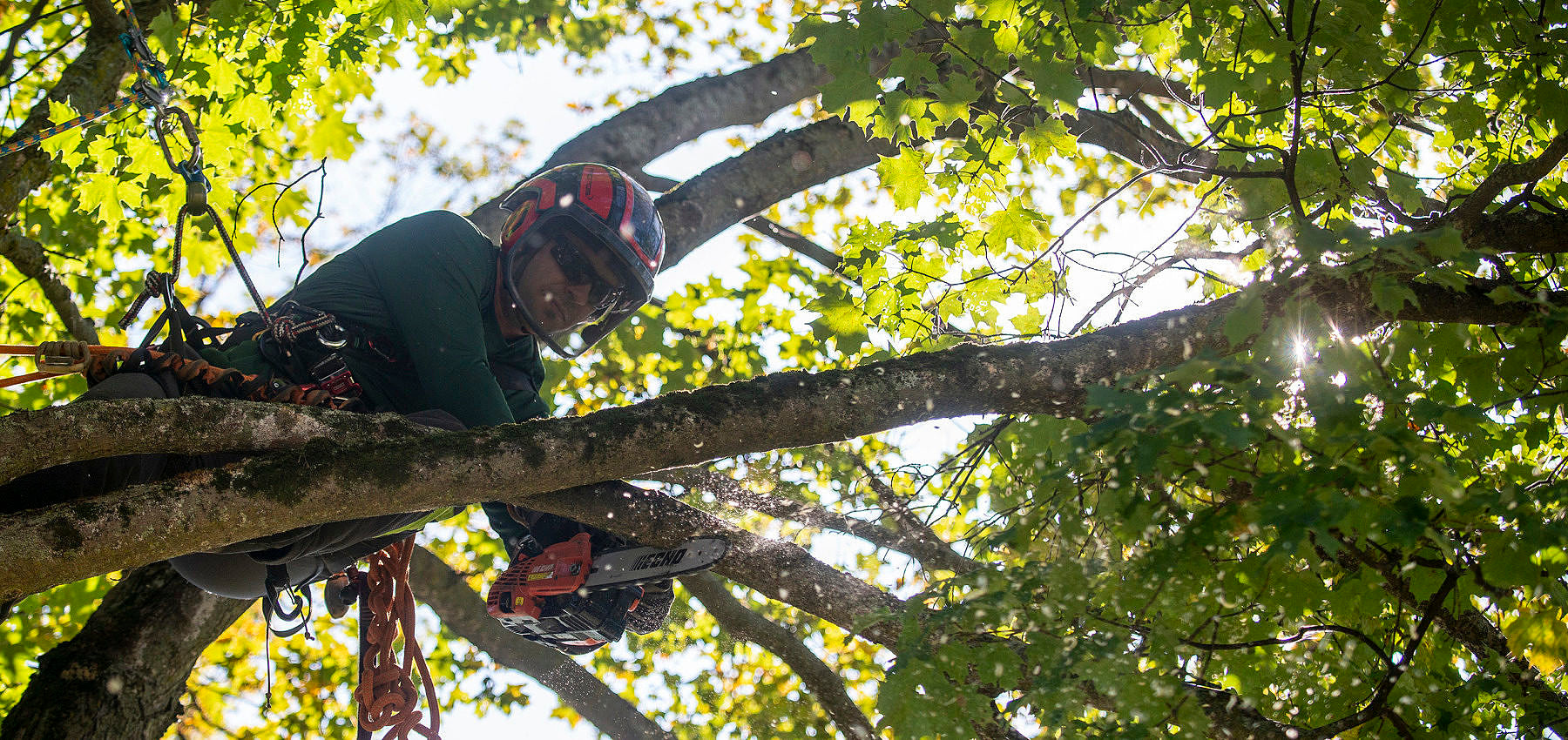 Solo para arboristas: Cómo montar la cuerda