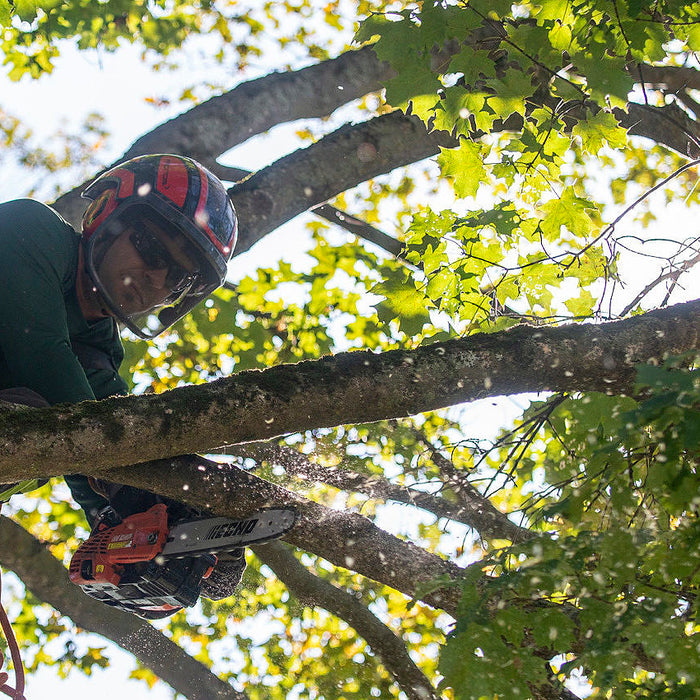 Solo para arboristas: Cómo montar la cuerda