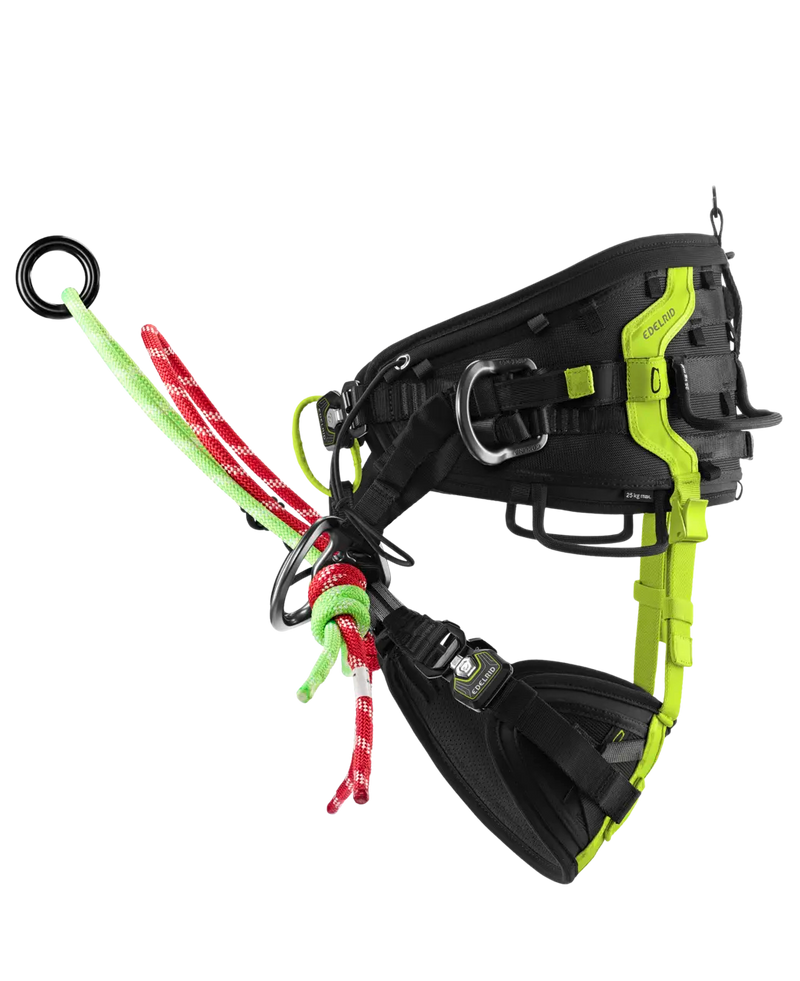 TreeRex II Arnes de Trepa Arboricultura