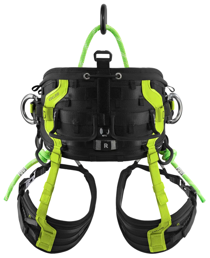 TreeRex II Arnes de Trepa Arboricultura