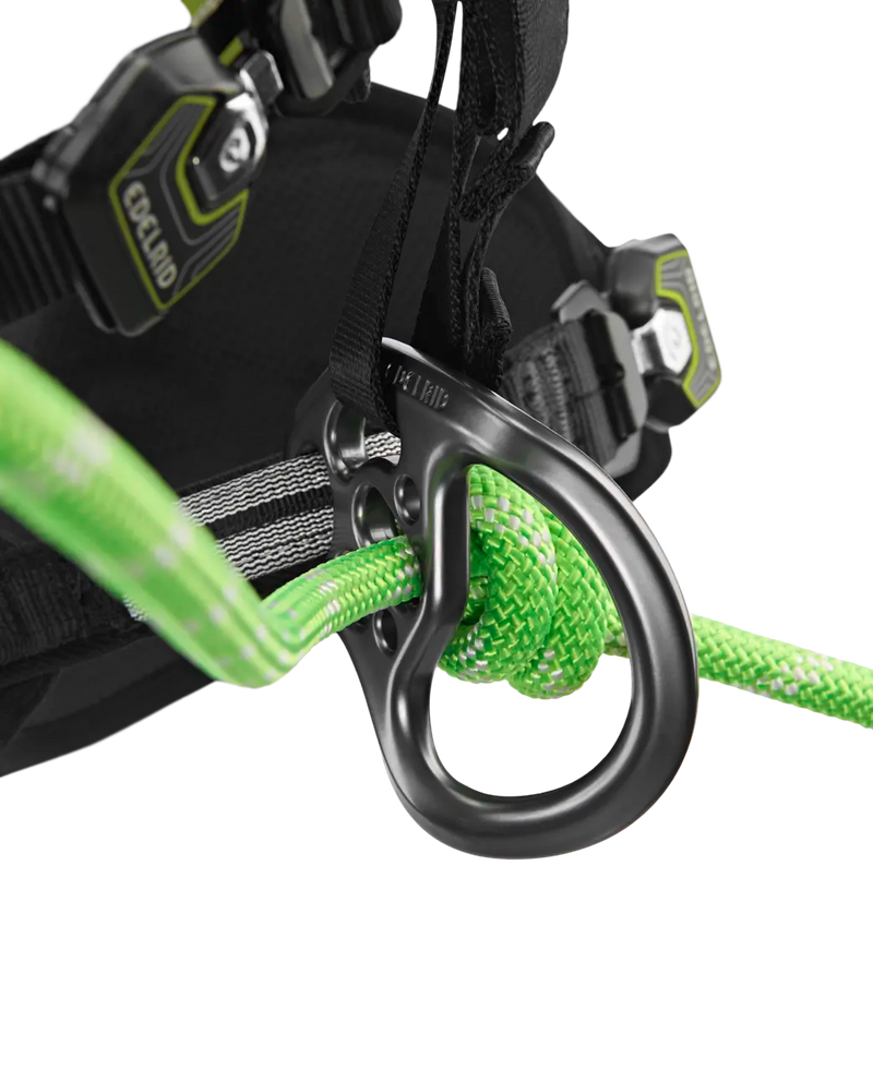 TreeRex II Arnes de Trepa Arboricultura