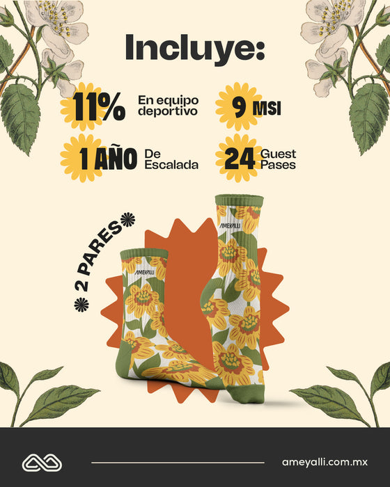 Anualidades Ameyalli 2026