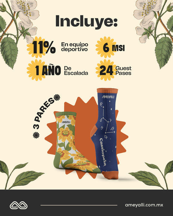 Anualidades Ameyalli 2026