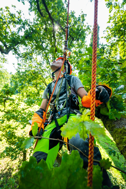 Cuerda Squir 11.5mm Para SRT o Rope Access