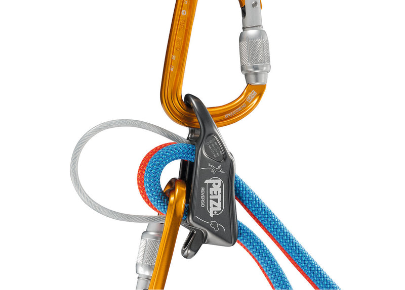 Reverso belay aegurdador y descensor