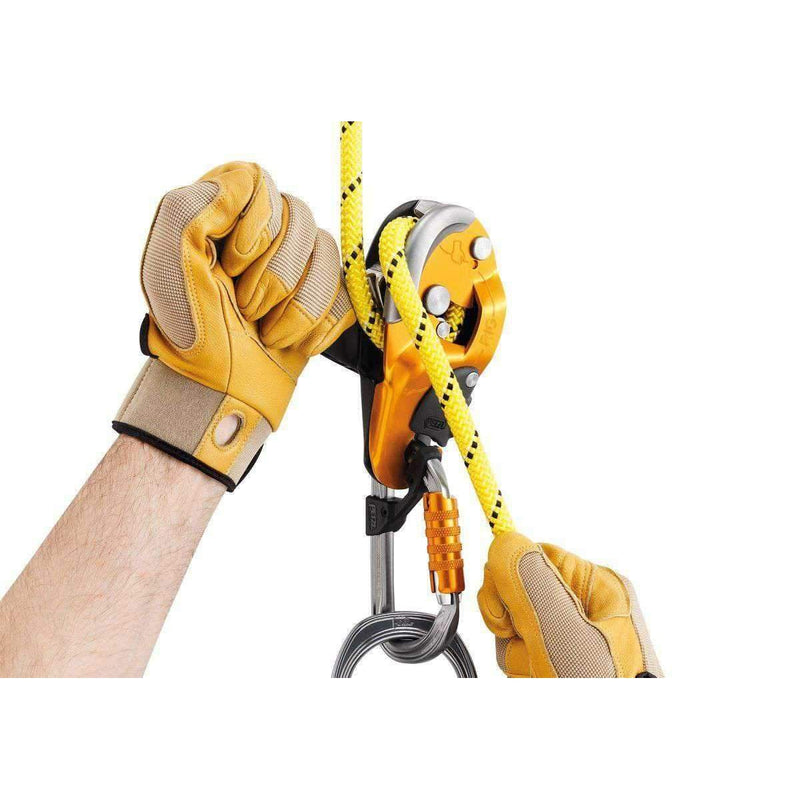 Descensor RIG-Petzl-Ameyalli